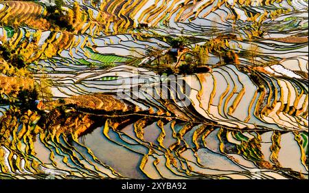 Vista aerea delle risaie allagate di Yuangyang, Yunna, Cina. Foto Stock