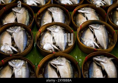 Pesce sgombro tailandese al vapore dal Golfo della Thailandia in paniere di bambù per la vendita al mercato ferroviario Mae Klong sud-ovest di Bangkok, Thailandia. Foto Stock