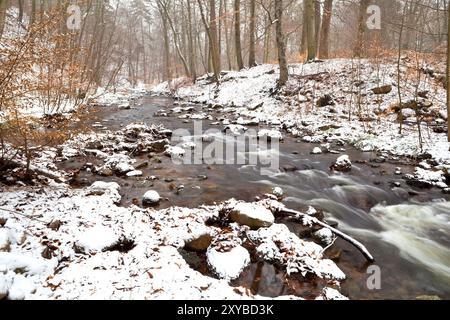 Fiume di montagna nella foresta invernale, Harz, Germania, Europa Foto Stock