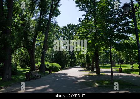 Fresca foresta estiva con splendidi rami densamente ricoperti di molte foglie verdi tra sentieri asfaltati in pubblico Borisova gradina, Sofia, Bulgaria Foto Stock