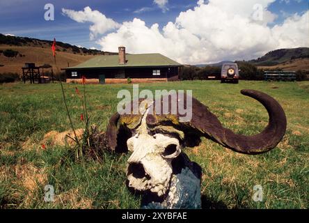 Aberdare Fishing Lodge, Aberdare National Park, Kenya Foto Stock