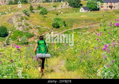 Aziende agricole Biadós, Viados, valle Añes Cruces, parco naturale Posets-Maladeta, Huesca, catena montuosa dei Pirenei, Spagna Foto Stock