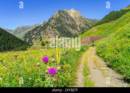 Aziende agricole Biadós, Viados, valle Añes Cruces, parco naturale Posets-Maladeta, Huesca, catena montuosa dei Pirenei, Spagna Foto Stock