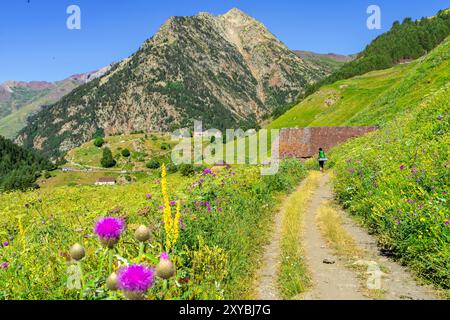 Aziende agricole Biadós, Viados, valle Añes Cruces, parco naturale Posets-Maladeta, Huesca, catena montuosa dei Pirenei, Spagna Foto Stock