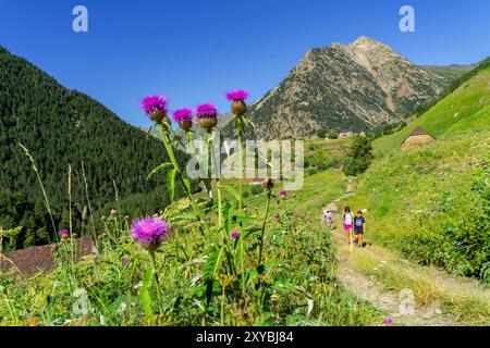 Aziende agricole Biadós, Viados, valle Añes Cruces, parco naturale Posets-Maladeta, Huesca, catena montuosa dei Pirenei, Spagna Foto Stock