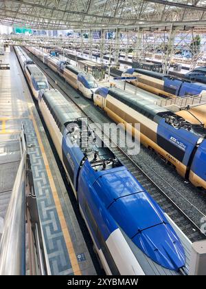 SEOUL, COREA DEL SUD - 28 agosto 2024: Treni ad alta velocità KTX Sancheon alla stazione di Seoul. Foto Stock