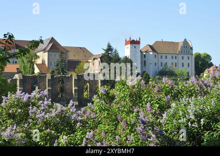 Bautzen, con vista sull'Ortenburg. Bautzen, con vista a Ortenburg, Die Ruine der Nikolaikirche a Bautzen. Le rovine della chiesa di San Nicola a B. Foto Stock