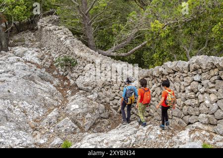 Tradizionale muro di pietra, Pedre en sec, Fita del RAM, Esporles, paesaggio naturale della Serra de Tramuntana, Maiorca, isole baleari, Spagna, Europa Foto Stock