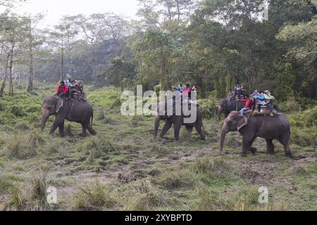 Parco nazionale di Chitwan, Nepal, 30 novembre 2014: Turisti su un elefante, Asia Foto Stock