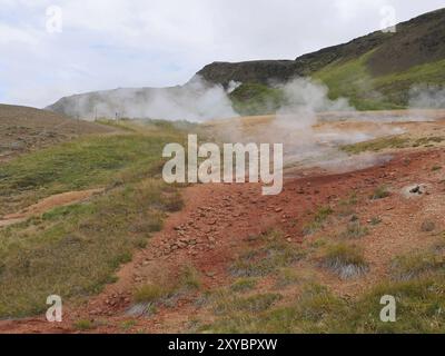 Area ad alta temperatura a Hveragerði in Islanda Foto Stock