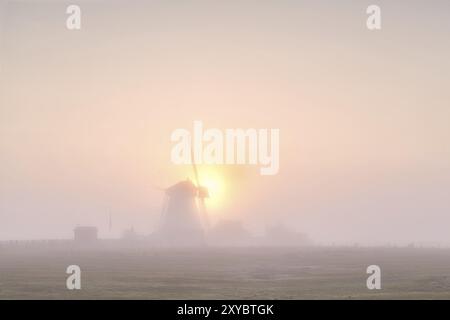 Silhouette di un mulino a vento in fitta nebbia all'alba, Olanda Foto Stock