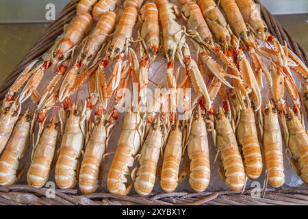 Langoustine fresche in un mercato di Parigi, Francia, Europa Foto Stock