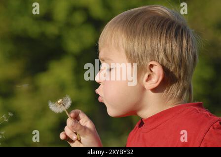 Ragazzo biondo con un dente di leone. Biondo con un dente di leone Foto Stock