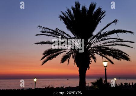 Vacanze estive, palme tropicali sulla spiaggia di sabbia al tramonto Foto Stock