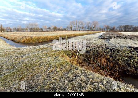 Vista sul tipico paesaggio pianeggiante olandese con recinzione durante l'inverno Foto Stock