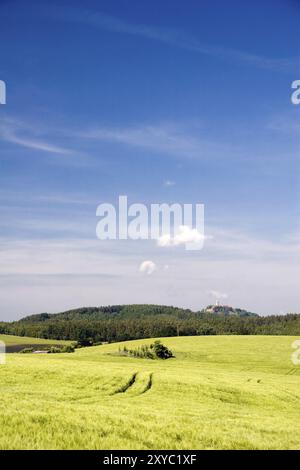 Campo di grano in Turingia con castello di Leuchtenburg sullo sfondo, paesaggio Turingia con coltivazione di grano davanti al castello di Leuchtenburg Foto Stock