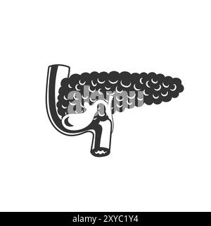 Vintage isolato sezione trasversale del pancreas umano per l'educazione medica interna degli organi. Illustrazione vettoriale Illustrazione Vettoriale