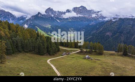 Prato alpino Wuhnleger, dietro le cime del roseto, avvolto dalla nebbia, colpo di droni, Dolomiti, Provincia Autonoma di Bolzano, alto Adige, Ita Foto Stock