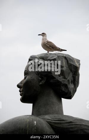 Un gabbiano immaturo di aringhe sul sangue nella scultura Jacuzzi, Victoria Square, Birmingham, Regno Unito Foto Stock