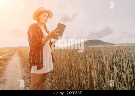 Donna campo di grano. Agronomo, agricoltore donna che controlla i picchi d'orzo maturo dorato nel campo coltivato. Primo piano della mano femminile sulla piantagione in agricoltura Foto Stock