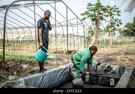 (240829) -- BRAZZAVILLE, 29 agosto 2024 (Xinhua) -- i dipendenti locali recuperano l'acqua per l'irrigazione presso il China-Aid Agriculture Technology Demonstration Center di Brazzaville, Repubblica del Congo, 3 agosto 2024. La manioca è un importante alimento di base in Africa, ma la sua produzione è stata a lungo ostacolata dalla mancanza di varietà migliori, tecniche agricole avanzate e impianti di trasformazione. La Cina, anche se non è un grande produttore di tuberi amilacei, è un mercato importante per la coltura e un potente centro di ricerca globale per le tecnologie legate alla manioca. Nell'ambito della fiorente cooperazione agricola tra Foto Stock