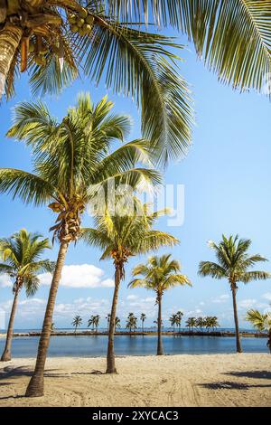 La spiaggia di rotondi a Matheson Amaca Parcheggio contea di Miami in Florida Foto Stock