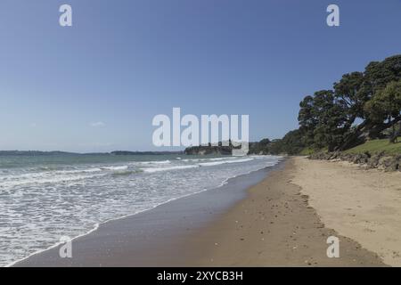 Red Beach, appena a nord di Auckland, sull'autostrada costiera Hibiscus, nuova Zelanda, Oceania Foto Stock