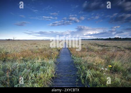 Sentiero in legno del cielo blu attraverso le paludi, Fochteloerveen, Paesi Bassi Foto Stock