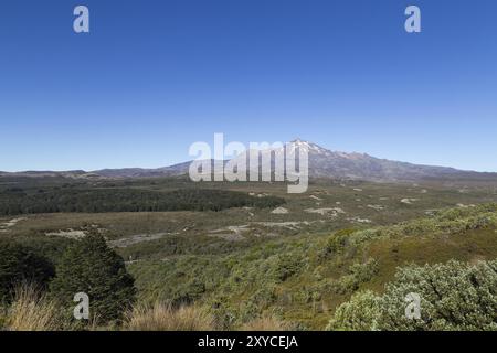 Vista del Monte Ruapehu in nuova Zelanda, vista dal circuito settentrionale di Tongariro Foto Stock