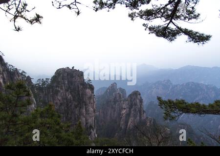 Monkey guardando il mare in Huang Shan Foto Stock