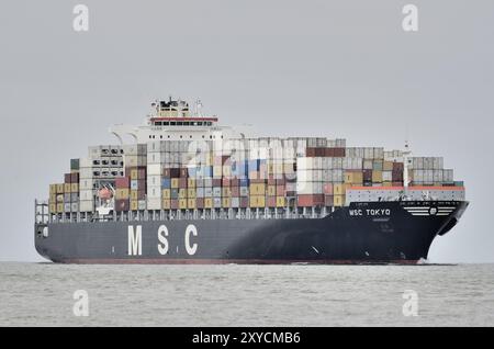 Nave container MSC Tokyo, n. IMO 9295361, in avvicinamento a Cuxhaven Foto Stock