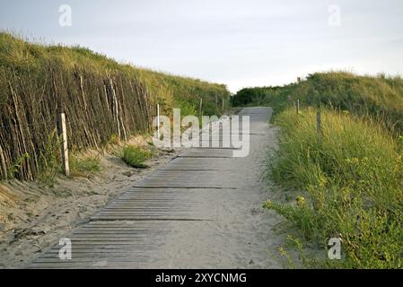 Sentiero delle dune sulla costa tedesca del mare del nord Foto Stock