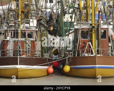 Le barche di gamberi di Greetsiel sono intrappolate dal ghiaccio Foto Stock
