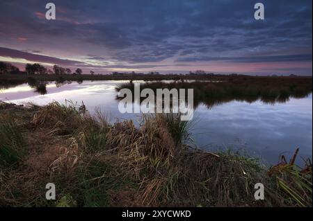 Splendida alba sulla palude, Onlanden, Drenthe, Paesi Bassi Foto Stock