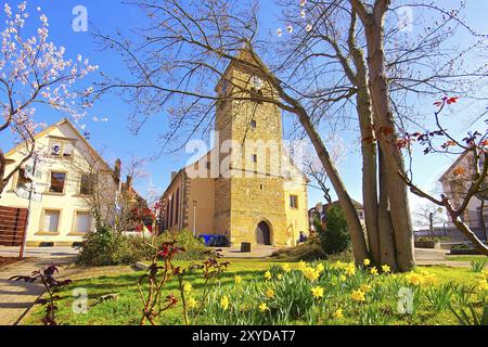 Die St. Laurentius Kirche a Gimmeldingen waehrend der Mandelbluete, la chiesa di St. Laurentius a Gimmeldingen durante la fioritura delle mandorle, Germania, EUR Foto Stock