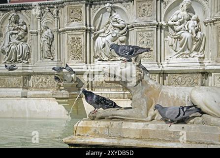 Piazza del campo, turisti, Fontana Gaia, piccioni, acqua, opere d'arte, Fontana Gaia, piccioni Foto Stock