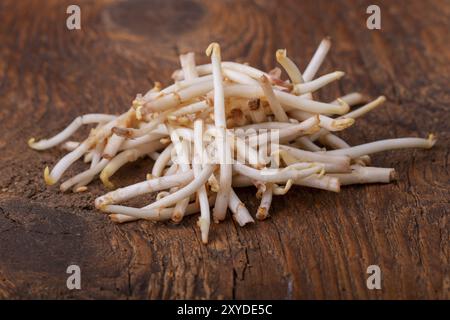 Primo piano di asparagi di luppolo Foto Stock