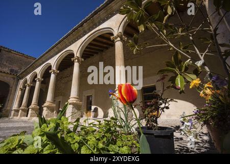 Convento de los Minimos, claustro del siglo XVII, Sineu, Maiorca, Isole baleari, spagna Foto Stock