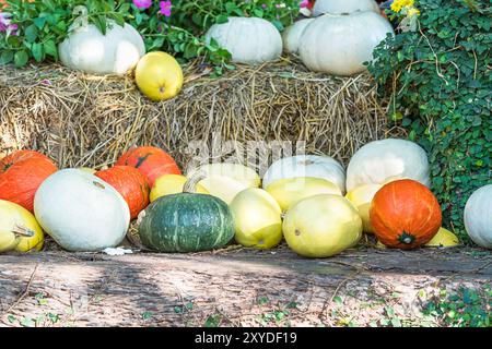 Vario assortimento di zucche, un mazzetto di zucche la parte superiore di una balla di fieno in azienda agricola biologica in vendita per essere utilizzati come decorazioni di caduta Foto Stock