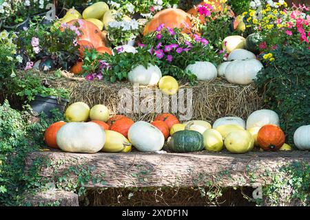 Vario assortimento di zucche, un mazzetto di zucche la parte superiore di una balla di fieno in azienda agricola biologica in vendita per essere utilizzati come decorazioni di caduta Foto Stock