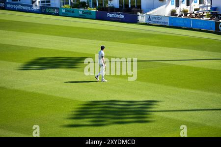 Hove UK 29 agosto 2024 - Daryn Dupavillon del Derbyshire schierata tra le lunghe ombre durante il primo giorno del Vitality County Championship League due partite di cricket tra Sussex e Derbyshire al 1st Central County Ground di Hove: Credit Simon Dack /TPI/ Alamy Live News Foto Stock