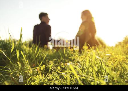 Vista dal retro. Giovani coppie sposate stanno tenendo per mano un picnic nella natura al tramonto. Il concetto di una giovane famiglia felice e di unità con la natura Foto Stock