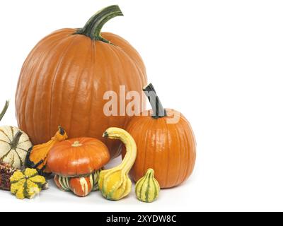 Zucche e zucche ancora vita isolata su sfondo bianco Foto Stock