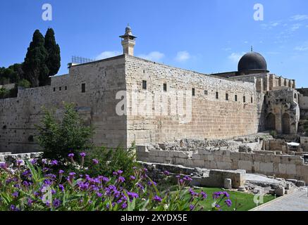 La parete meridionale del Monte del Tempio e la Moschea al Aqsa sono visibili vicino al sito dove l'Autorità delle Antichità di Israele ha scoperto un raro sigillo di pietra nera, risalente a circa 2.700 anni fa, dal Re di Giuda nel periodo del primo Tempio, durante gli scavi nella città Vecchia di Gerusalemme giovedì 29 agosto 2024. Il raro sigillo di pietra ha una figura alata e un nome ebraico inscritto in scrittura paleo-ebraica ed è stato usato come sigillo ufficiale e amuleto protettivo di una figura magica alata durante il periodo del primo Tempio. Foto di Debbie Hill/UPI Foto Stock