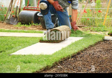 Uomo che posa la zolla per un nuovo prato da giardino Foto Stock