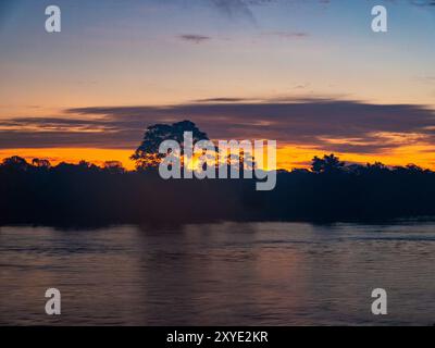 Alba sull'Amazzonia a ovest di Anamã in Brasile. Foto Stock