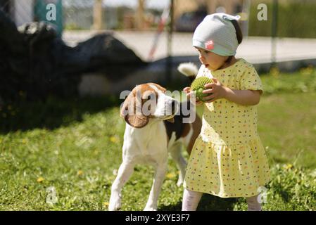 Bambina piccola che gioca nella giornata di sole nel cortile con il suo migliore amico beagle cane. Concetto di cane adatto ai bambini Foto Stock