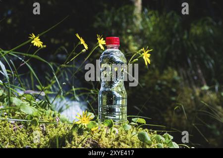 Un freerider sciatore in completo vestito si trova su un ghiacciaio nel Caucaso settentrionale Foto Stock