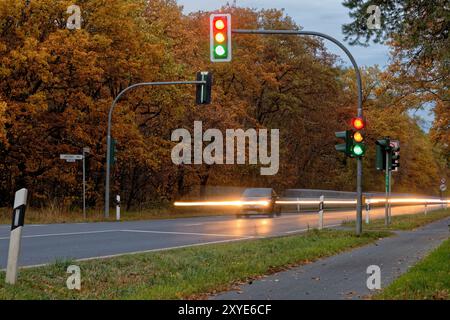 Strada di campagna di sera Foto Stock