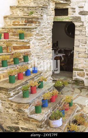 Fiori colorati vaso decorazione piante su scala, esterno casa design Foto Stock